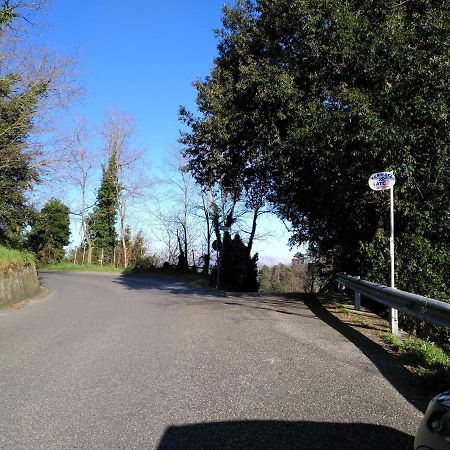 Il Piccolo Lord Leilighet La Spezia Eksteriør bilde
